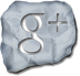 Google Social Button