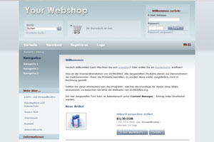 Freies xtcModified Template xtcSilverGrey