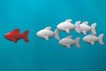 Social Media - Wem sollte gefolgt werden?