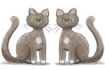 Geld verdienen im Internet mit Copycats