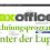 Das Rechnungsprogramm Lexoffice für dich im Praxistest